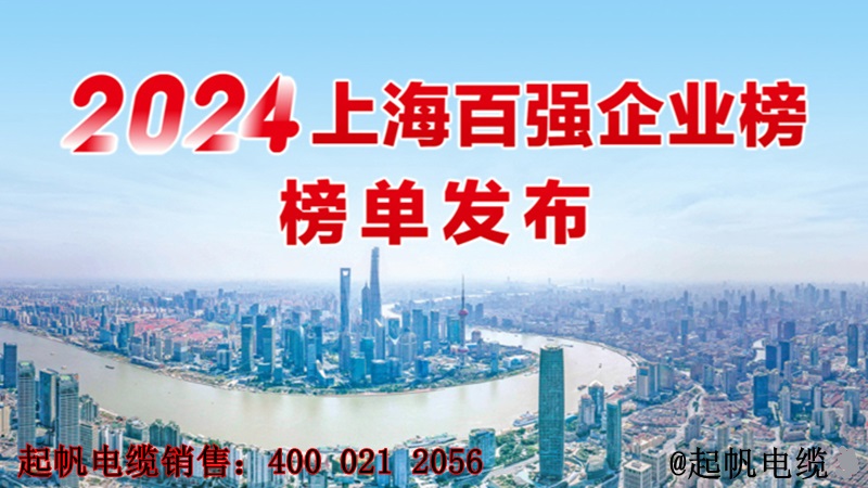 2024年上海百強企業(yè)榜單發(fā)布